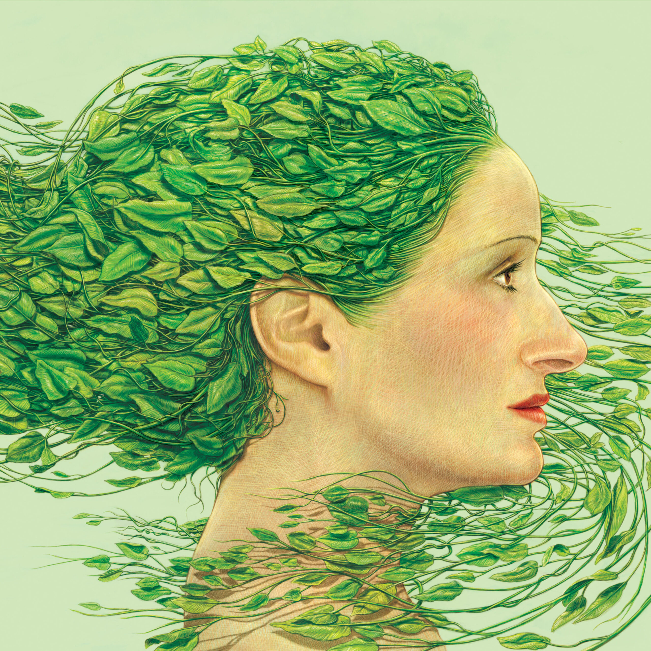 noticia_SINGLE Publican nuevo album hola LP CD_00001079