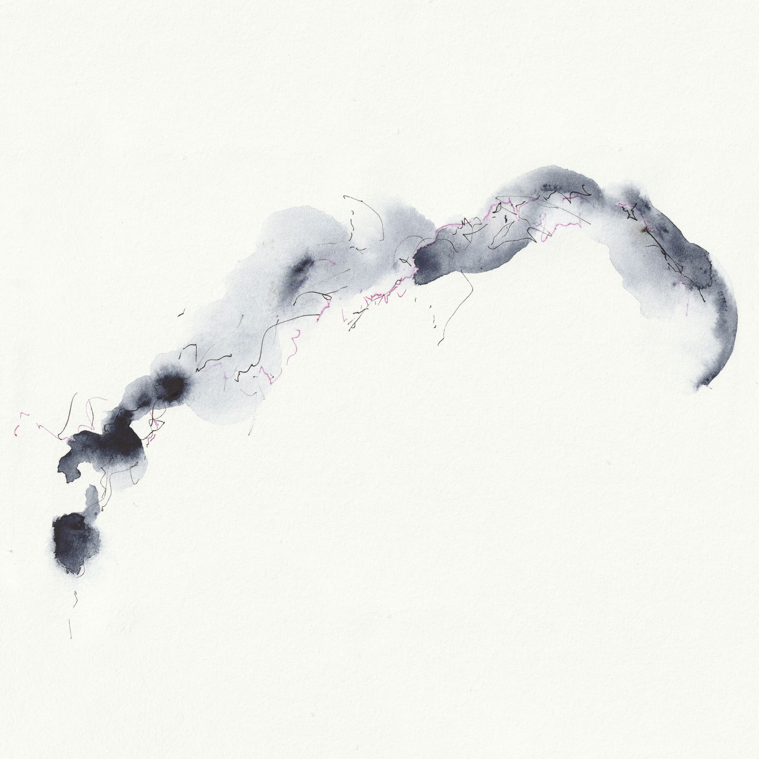 noticia-LIGHTNING IN A TWILIGTH HOUR overwintering_er-1276