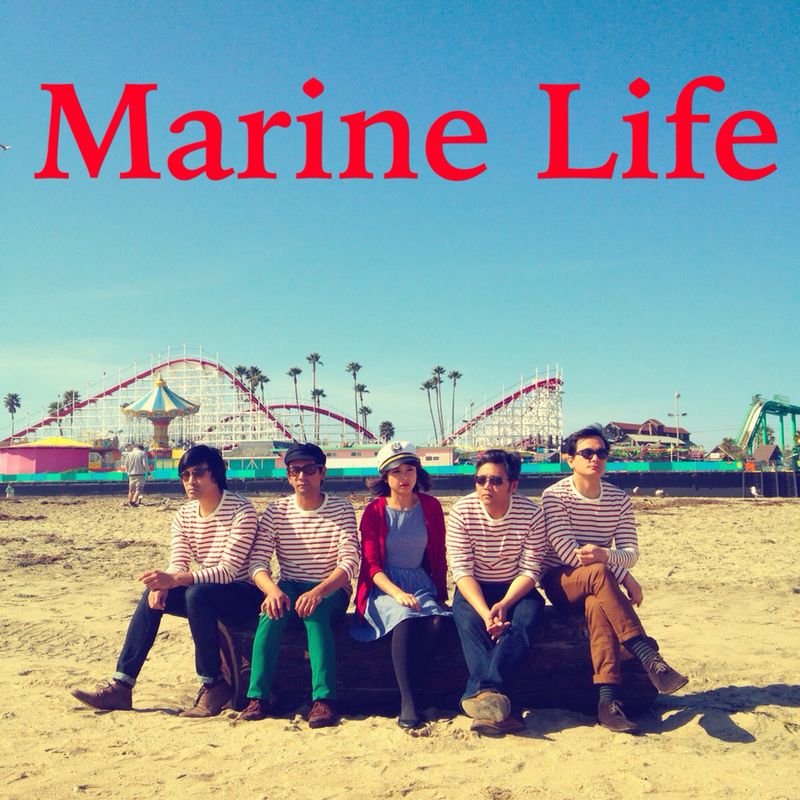 grupo-marine-life_00000462