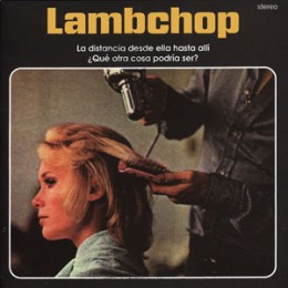 Imagen destacada de grupo: Lambchop