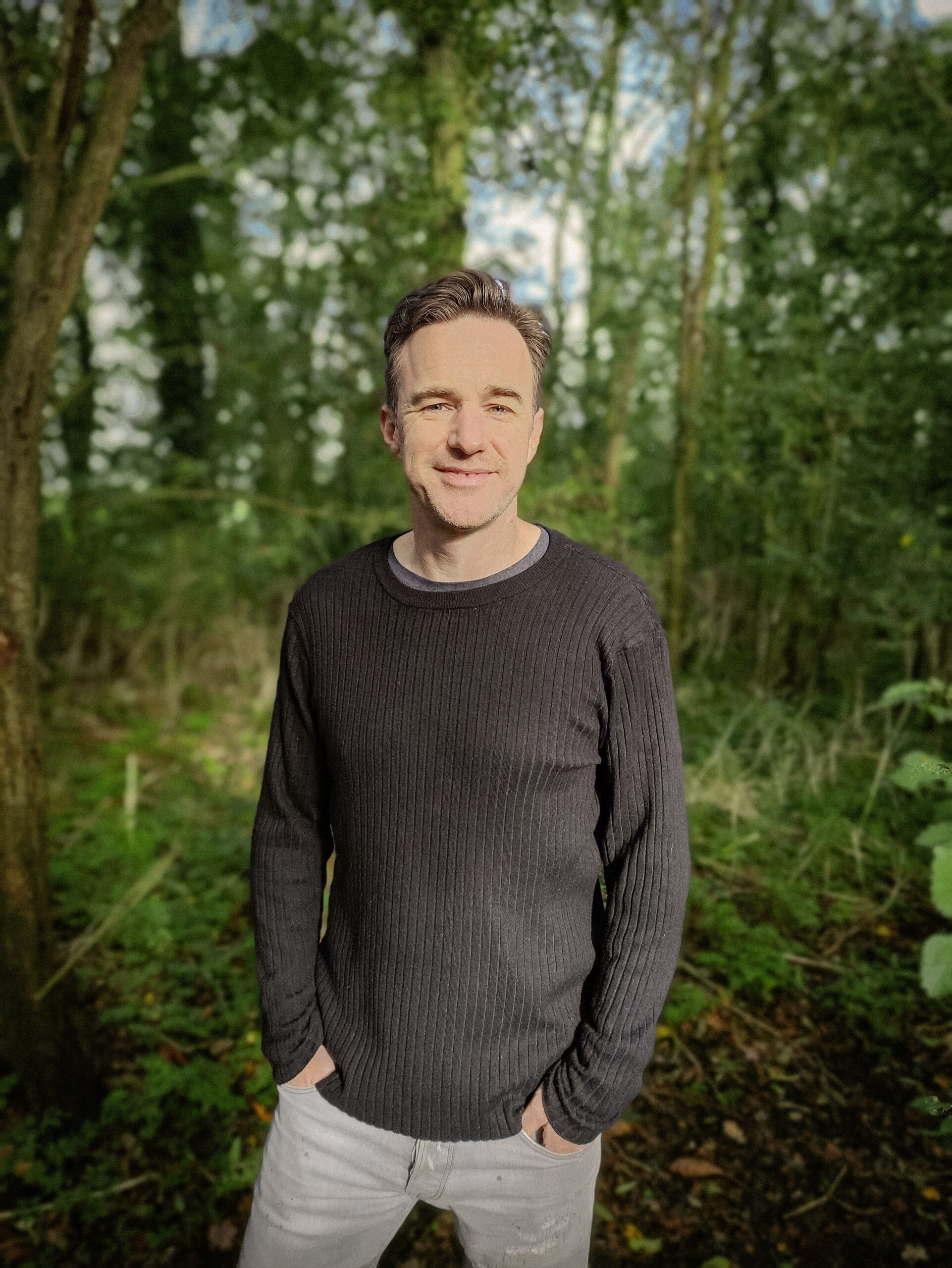 Imagen destacada de grupo: Sunlit