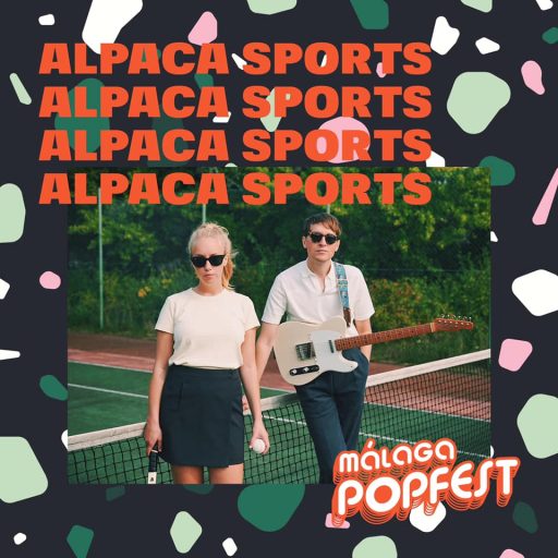 Imagen: ALPACA CARTEL MALAGA