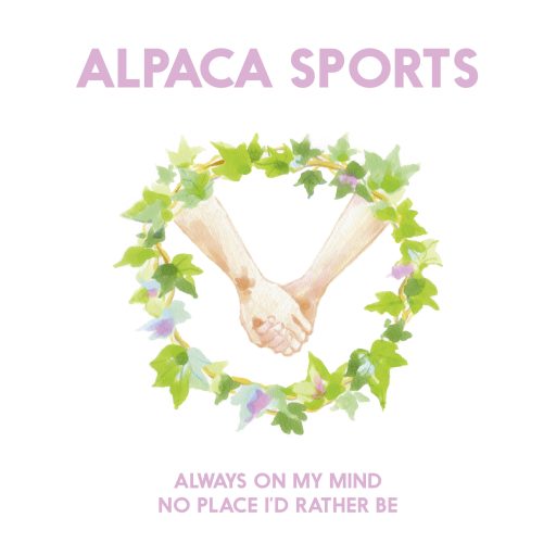 Imagen: ALPACA PORTADA ALWAYS