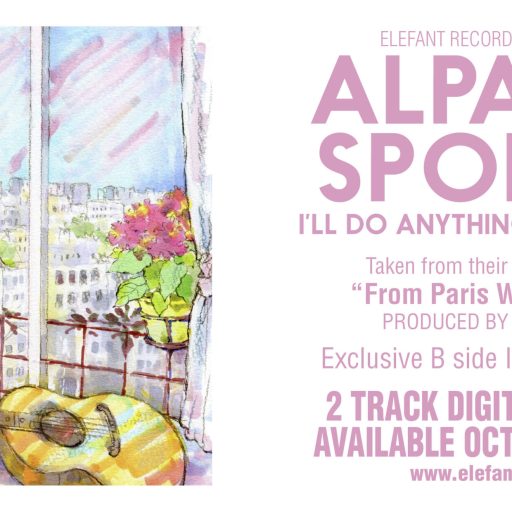 Imagen: ALPACA SPORTS FLYER I'LL DO
