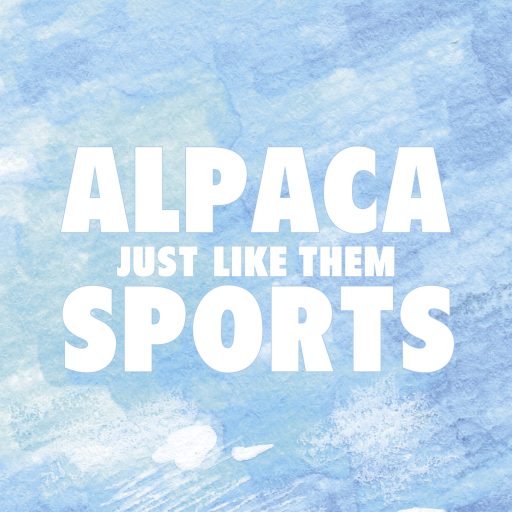 Imagen: ALPACA SPORTS PORTADA SINGLE DIGITAL