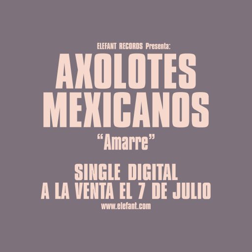 Imagen: AXOLOTES FLYER DISCO