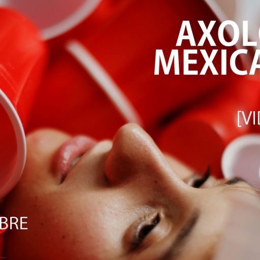 Imagen: AXOLOTES FLYER VIDEO SIN TI 2