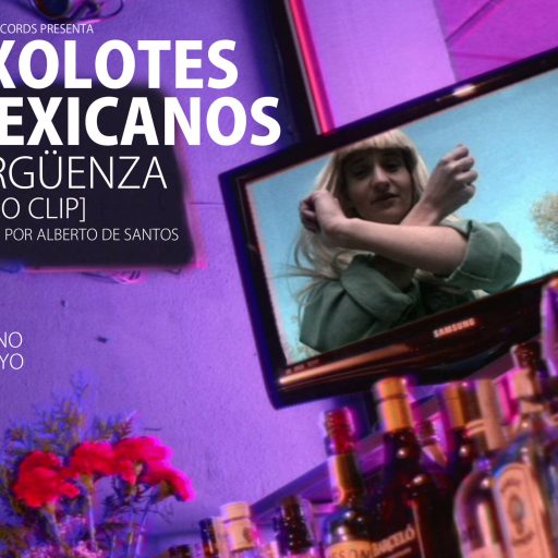 Imagen: AXOLOTES FLYER VIDEO VERGÜENZA