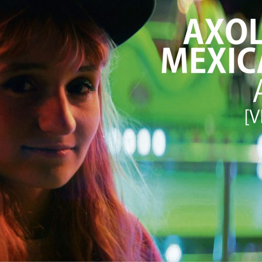 Imagen: Axolotes Mexicanos "Astor"