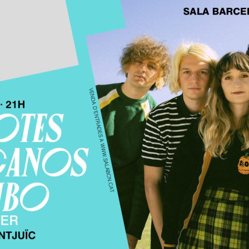 Imagen: AXOLOTES MEXICANOS BCN CASTELL