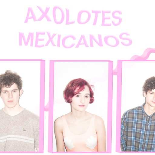 Imagen: AXOLOTES MEXICANOS FOTO 1