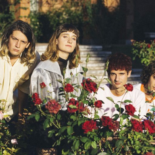 Imagen: AXOLOTES MEXICANOS FOTO