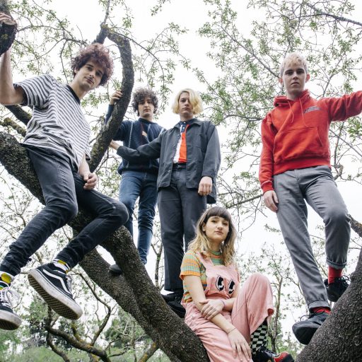 Imagen: AXOLOTES MEXICANOS FOTO