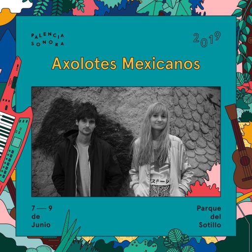 Imagen: AXOLOTES PALENCIA CARTEL