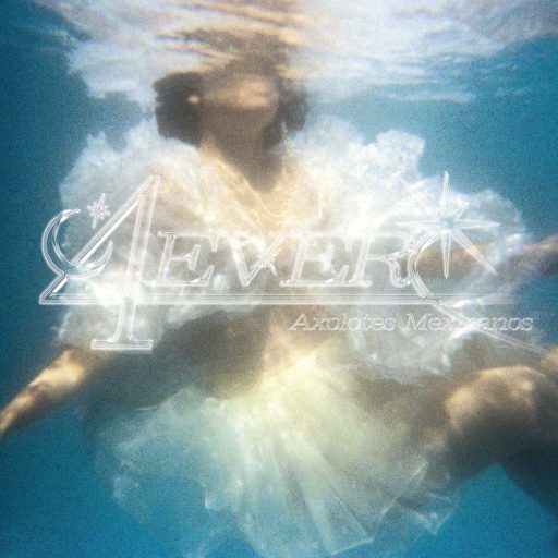 Imagen: AXOLOTES PORTADA 4EVER