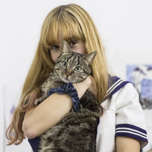 Imagen: AXOLOTES PORTADA DOBLE CHECK