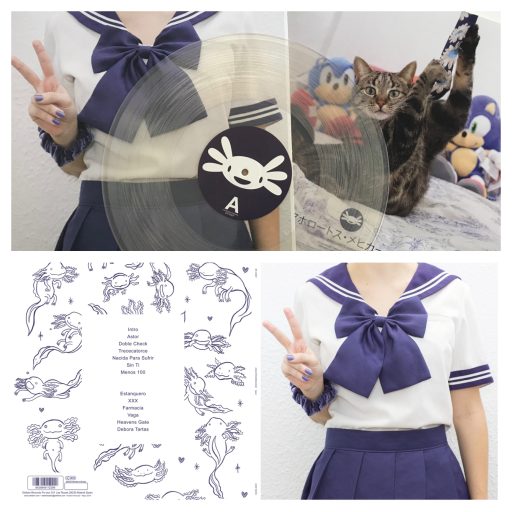 Imagen: AXOLOTES VINILO SALU2
