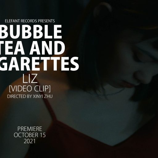 Imagen: BTAC FLYER VIDEO LIZ