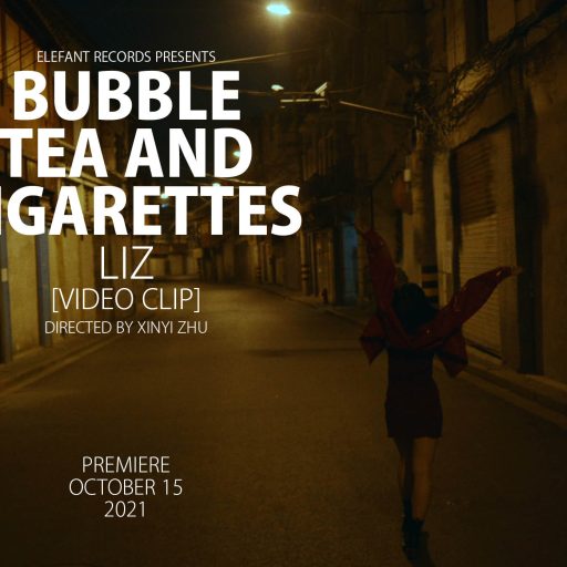 Imagen: BTAC FLYER VIDEO LIZ