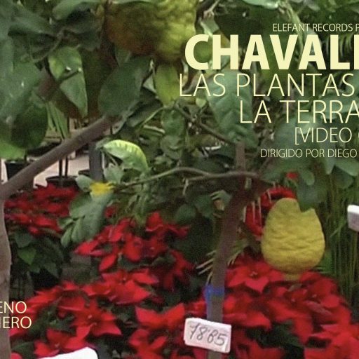 Imagen: CHAVALES FLYER VIDEO