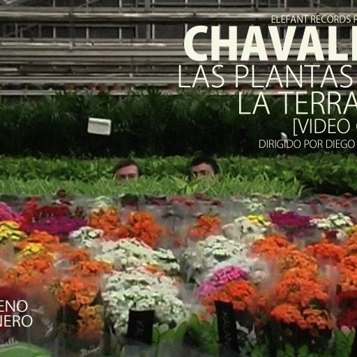 Imagen: CHAVALES FLYER VIDEO