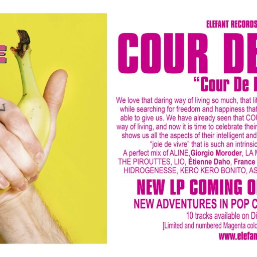 Imagen: COUR DE RECRE FLYER LP