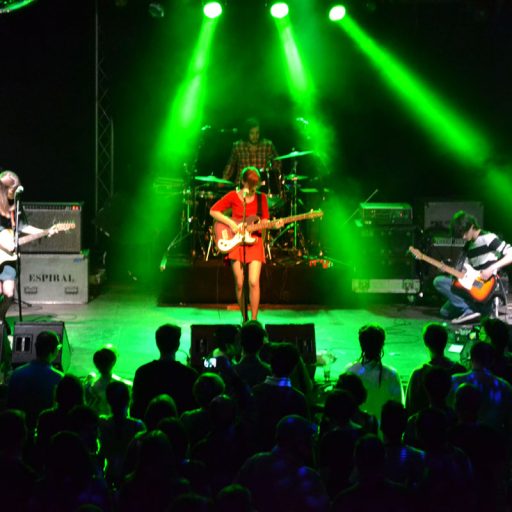 Imagen: FOTO LIVE 12 PANIC AT ELEFANT CLUB 03