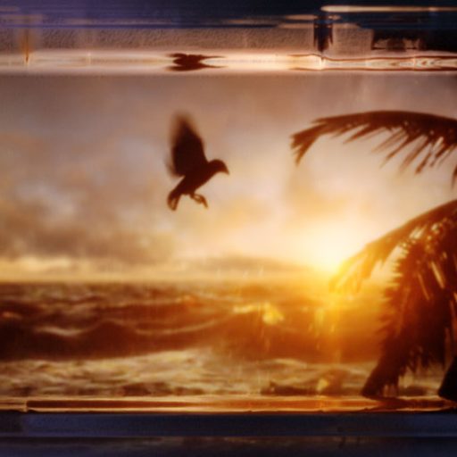 Imagen: FOTOGRAMA VIDEO LA POLINESIA MERIDIONAL 08