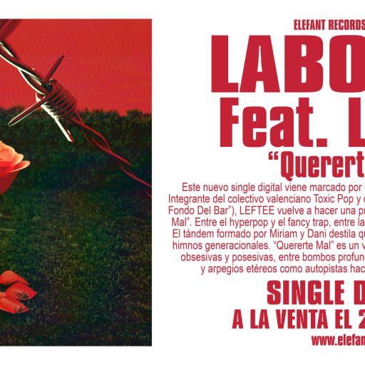 Imagen: LABORDE FLYER QUERERTE MAL 2