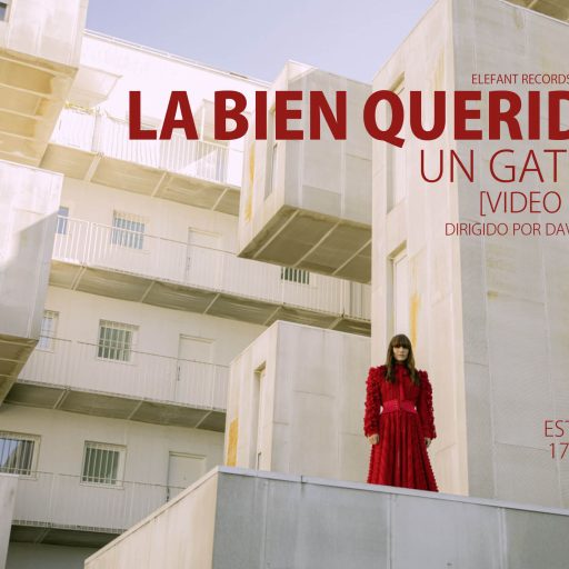 Imagen: LBQ FLYER VIDEO