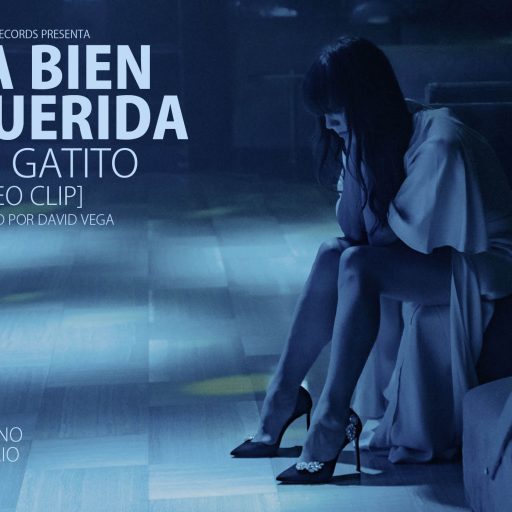 Imagen: LBQ FLYER VIDEO