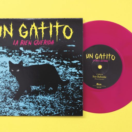 Imagen: LBQ FOTO VINILO