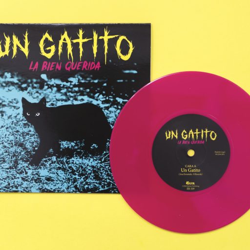 Imagen: LBQ FOTO VINILO