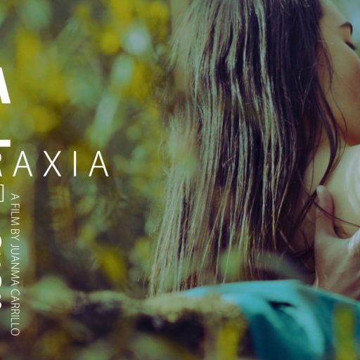Imagen: LCA FLAYER VIDEO ATARAXIA