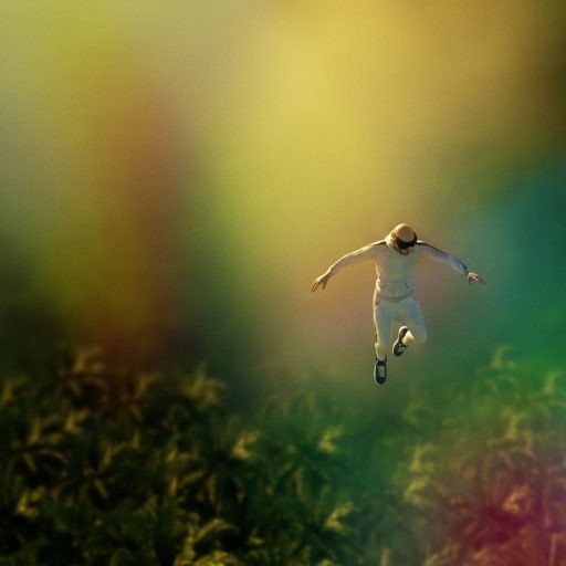 Imagen: LCA FOTO NO HAY FUTURO