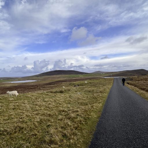 Imagen: LIGHTNING FOTO PROMO COLOURS