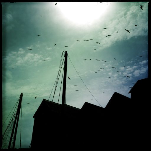 Imagen: LIGHTNING IN A TWILIGHT HOUR FOTO 1