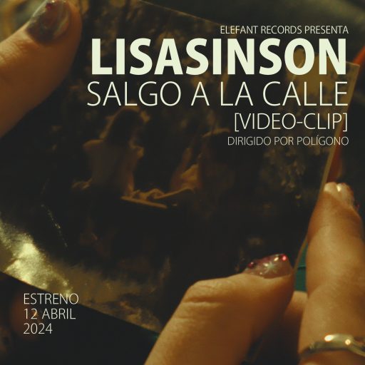 Imagen: LISASINSON FLYER VIDE SALGO A LA CALLE