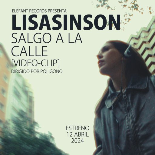 Imagen: LISASINSON FLYER VIDE SALGO A LA CALLE