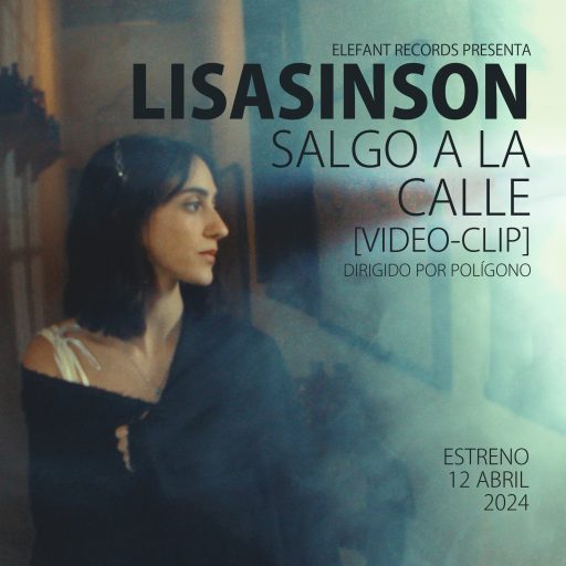 Imagen: LISASINSON FLYER VIDE SALGO A LA CALLE