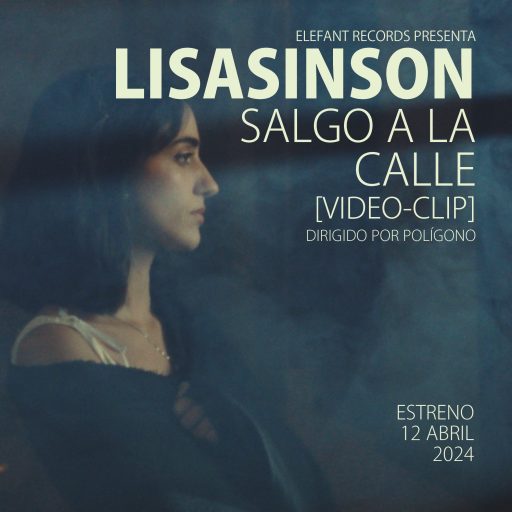 Imagen: LISASINSON FLYER VIDE SALGO A LA CALLE