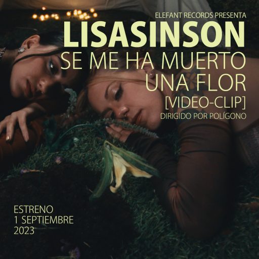 Imagen: LISASINSON FLYER VIDE se me ha muerto