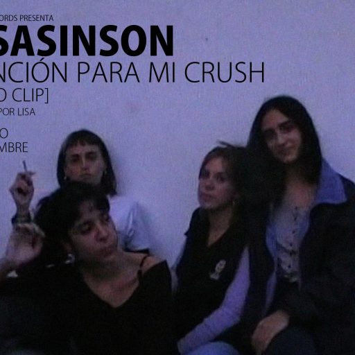 Imagen: LISASINSON FLYER VIDEO