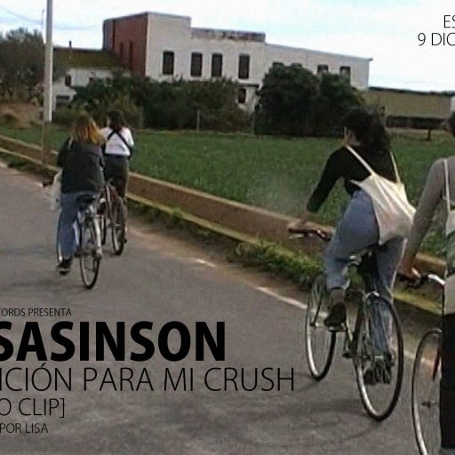 Imagen: LISASINSON FLYER VIDEO