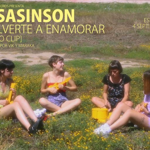 Imagen: LISASINSON FLYER VIDEO