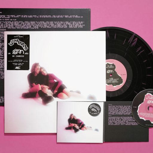 Imagen: LISISINSON FOTO VINILO UN AÑO DE