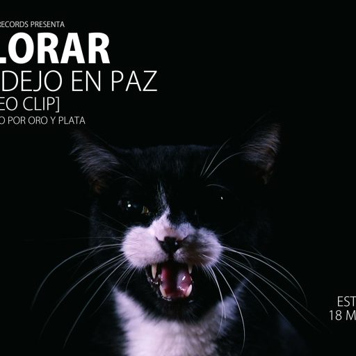llorar-flyer-video_llorar-te-dejo-en-paz_00005236