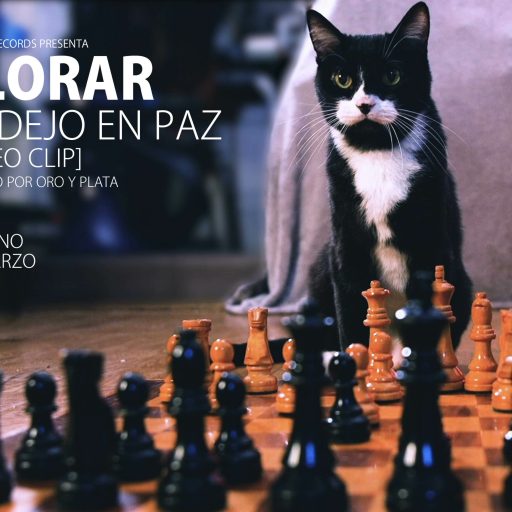 llorar-flyer-video_llorar-te-dejo-en-paz_00005237