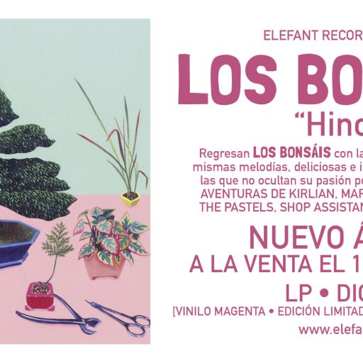 Imagen: LOS BONSÁIS FLYER ALBUM