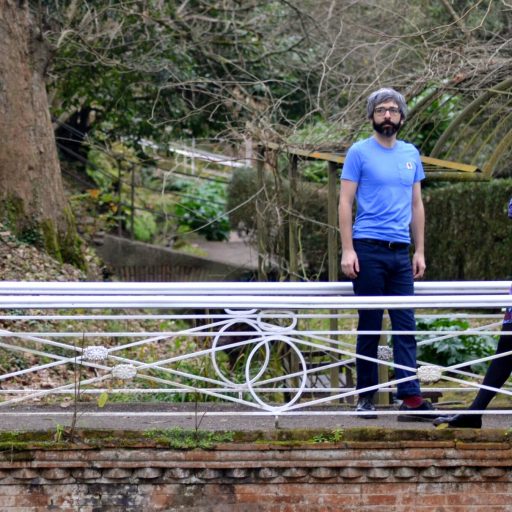 Imagen: LOS BONSAIS FOTO 2